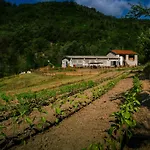 Cascina Del Vai مزرعة للإقامة كايرو مونتينوت