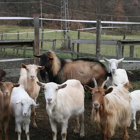 Agroturismo Cascina Del Vai