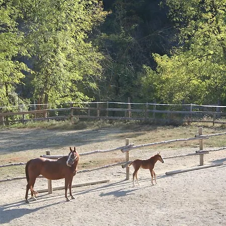 Cascina Del Vai カイロ・モンテノッテ