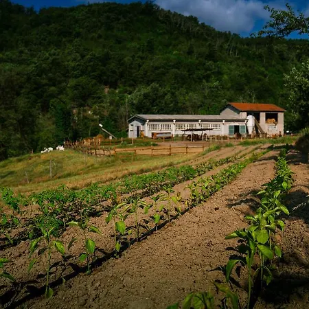 Vakantieboerderij Cascina Del Vai Cairo Montenotte