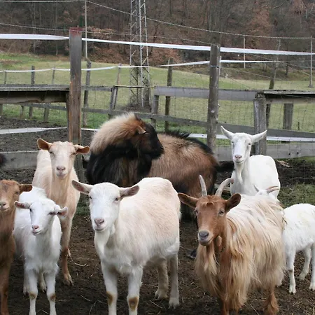 Cascina Del Vai