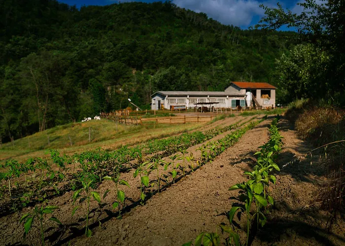 Cascina Del Vai Agroturismo Cairo Montenotte
