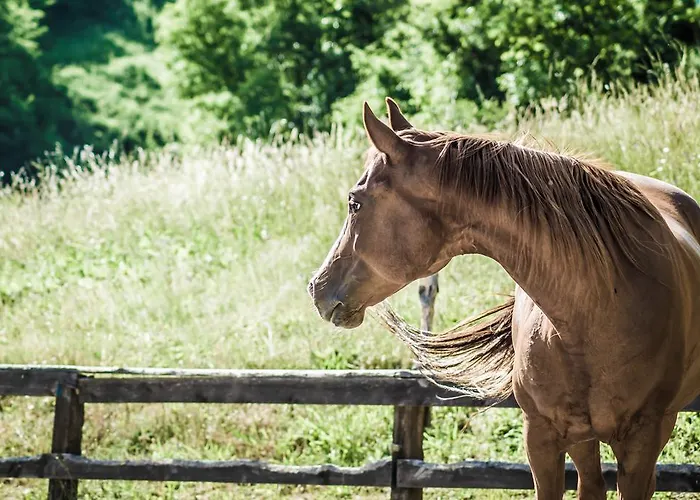 Agroturismo Cascina Del Vai *
